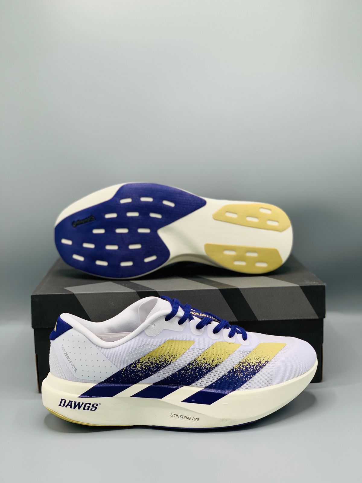 Adid -  Adizero Evo SL Mocha Navy
