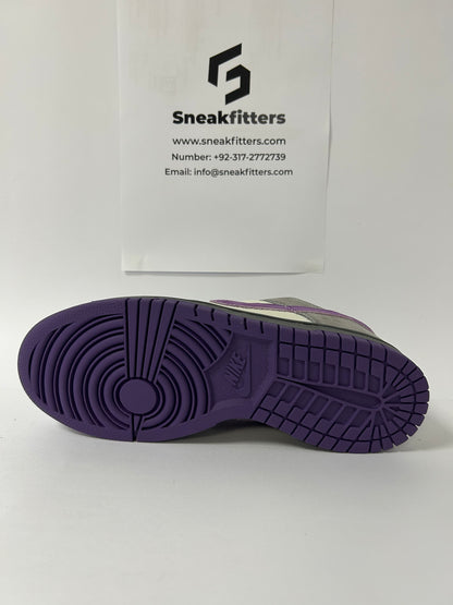 NKE SB Dunk - Low - Purple Pigeon