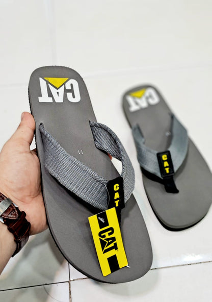 Cat - Slides - Grey