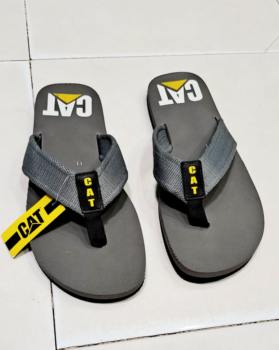 Cat - Slides - Grey