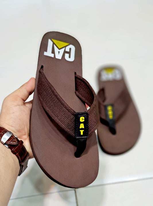 Cat - Slides - Brown