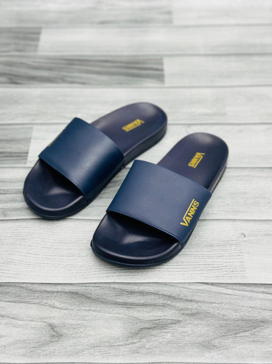 Vanns - Slides D1 - Blue